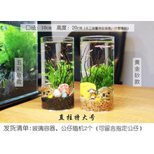 观赏生态瓶鱼微景观免换水免打理diy水族办公桌面创意造景鱼缸 圆柱特大号(五彩砂款)