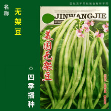 四季小香葱种韭菜籽菜种大全小白菜籽生菜种子四季种的蔬菜香菜籽 无架豆约30粒