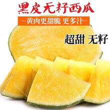 无籽西瓜种子黑皮红瓤黄瓤西瓜种籽特大超甜懒汉瓜春夏季水果种孑 黑皮黄瓤无籽西瓜种子【50粒】