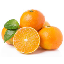 果冻橙柑橘