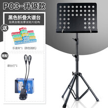 阿萨娜丝乐谱架可升降型曲谱架大乐谱架古筝二胡古筝琴谱架吉他小提琴谱台 升级版P03（加高1.8米）黑色+乐谱夹+灯
