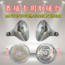 OENY 仔猪用保温灯养殖取暖灯防水防爆节能红外线小鸡畜牧烤灯加热灯泡 麻点250瓦