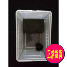 宠以沫（CHONG YIMO）宠物饲养箱蜘蛛饲养盒活体爬虫蝎子守宫蛇蜥蜴角蛙饲养盒子 中号饲养盒+躲避+水盆