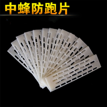 现货 中蜂防跑片防盗器蜂王蜂箱隔珊片隔板蜜蜂箱防逃王片养蜂工具 30片装