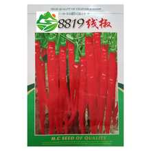 民汇园 8819线椒种子 蔬菜种子 湖南椒种子 辣椒种子 线椒种子 尖椒种子 干辣椒种子 早熟抗病 8819线椒5克/袋