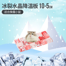 宠尚天 仓鼠夏天降温用品消暑散热板宠物专用冰床龙猫兔子凉席垫避暑夏季 【活动款】玛瑙红水晶降温板10×5cm（适合侏儒小