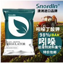 吲哚丁酸钾 扦插生根剂 催根移栽生根粉原粉斯诺丁 送量勺资料 100克