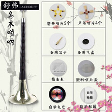LACHOUFFE 唢呐乐器全套初学者D调成人大嗦呐小锁喇铄呐民间喇叭 乌木D调黄碗+ 9大礼品