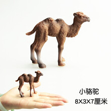儿童仿真小动物幼崽模型玩具摆件景观配景装饰品大象小狗宠物犬 驼色 小骆驼