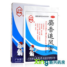 吉民 麝香追风膏 10片 祛风散寒止痛止疼膏镇疼去痛射香贴膏膏药 1盒