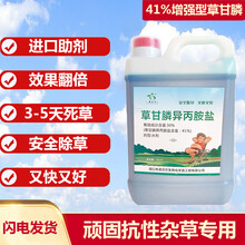 增强型41%草甘膦铵盐 果园苗圃荒地烂根型除草剂一扫光 农达 一箱装(200ml*50瓶）