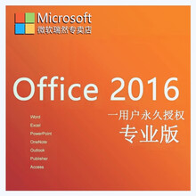 微软正版office2016/专业OFFICE2019小型企业版/WIN10/WIN7专业版/旗舰版  实物:OFFICE2016专业+WIN10专业版 专用发票