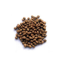 人参苗 三年种苗 人参种子 大苗种子种植 盆栽苗 人参种子沙藏20粒 人参苗