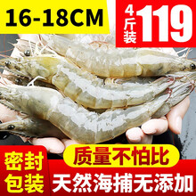 虾【领卷立减20】沃鲜汇国产 大虾 4斤装 青虾鲜虾海虾基围虾鲜活冷冻生鲜 虾类 已核酸检测 16-17厘米(特大号) 4斤装(净虾3斤)