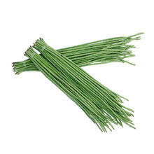 梦里丹特长绿先锋豇豆种子绿条长豆角种子四季豆春秋播高产四季蔬菜种籽 江西小五叶原装15克/1包