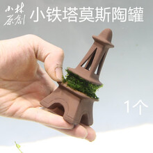 28莫斯活体水草定植环水草鱼虾缸水族箱造景装饰幼鱼虾躲避窝 乳白色 小铁塔莫斯1个