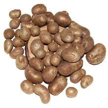新鲜铁棍山药豆大号陈集淮山药蛋怀三约糖葫芦果菏泽特产 10kg