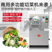 甄樽 切菜机土豆胡萝卜切片切丝切丁机商用切段切条机 不锈钢升级款（铜芯电机）质保3年