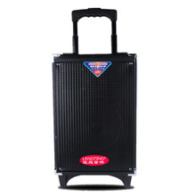 特美声（TEMEISHENG）浪庭户外拉杆音箱8寸广场舞音响锂电池移动音箱插卡木质音响 蓝牙版4节电 充电器 无线耳麦 送音频线