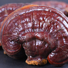 保茸斋 灵芝片紫长白山灵芝 整朵切片灵芝茶可泡酒可煲汤 整个紫灵芝  250g【半斤装、买2送1、原产地】