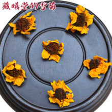 藏曦堂的雪菊 蛇目菊花 新疆天山 新疆冰山 80克*1瓶