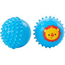 费雪（Fisher Price）玩具 玩具球 宝宝按摩球训练球 F0908
