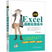 好用 Excel函数应用高手