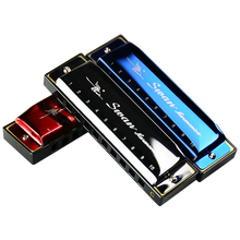 天鹅（SWAN） 10孔布鲁斯口琴C调蓝调初学入门银色金色可选十孔小规格口琴小10孔口琴 【拍下打折】古铜标配