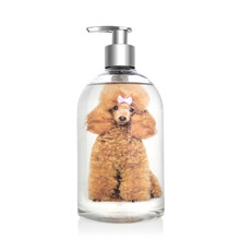 狗狗沐浴露 宠物除菌驱螨去臭浴液用品 斗牛犬法斗泰迪金毛萨摩比熊边牧阿拉斯加猫咪专用洗澡 红棕专用