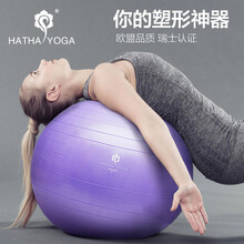 哈他 （Hatha）瑜伽球加厚防爆健身球瘦身减肥孕妇助产瑜珈球套装 雪青55cm(身高150-160cm)