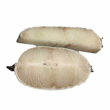 国际	鱼姐海成 银鳕鱼新鲜宝宝辅食法国深海鳕鱼片冷冻雪鱼鳕鱼排无冰衣500g袋装