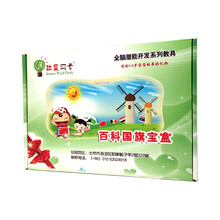 杜曼闪卡 百科国旗宝盒世界各国国旗卡片带智力纲要儿童早教闪卡 国旗卡+国旗配对卡