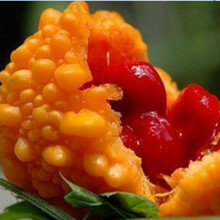 蔬菜种子小濑瓜金铃子赖葡萄