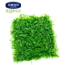 莫丝水草 鱼缸莫丝小网片 三角莫丝 珍珠莫丝 火焰莫丝 莫斯水草合集 珍珠莫丝
