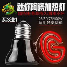 Rep-shop 迷你陶瓷加热灯旱龟箱蜥蜴饲养箱爬虫鬃狮夜灯保温灯爬宠箱加热器迷你陶瓷加热灯 50W