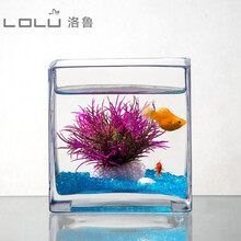 正方形玻璃鱼缸中小型金鱼缸客厅懒人桌面乌龟缸造景迷你水族箱 大号紫色香草套餐