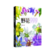 野花999/自然观察丛书