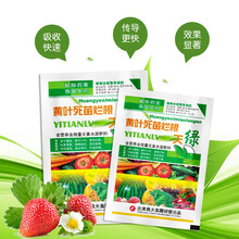 北美农大 黄叶死苗烂根 一天绿 叶面肥 叶子变绿变大平展保花保果膨大微量元素水溶肥 一天绿5袋