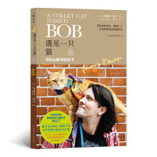 遇见一只猫：与Bob相伴的日子