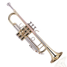 维斯曼 WISEMANN DTR-250 黄铜降B调小号乐器 bB调小号铜管乐器 初学入门演奏考级