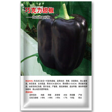 凤鸣雅世  彩椒种子甜椒菜椒青椒辣椒种籽方形灯笼椒四季阳台盆栽籽种孑蔬菜种子红椒黄高产甜椒籽蔬菜种籽 巧克力方型甜椒种子 100粒