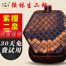 依之木 陆林生五星紫檀二泉二胡苏州民族乐器学习演奏