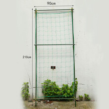 田田绿 园艺支柱爬藤架爬藤植物攀爬架子欧月月季爬藤花架植物花墙种菜种花架黄瓜丝瓜喇叭花架 管径16-宽90*高210CM/带网
