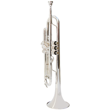 津宝 JBTR-601小号乐器降B调号镀银漆金初学演奏小号 【银色】JBTR-601小号