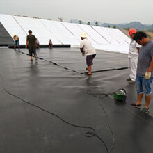 巨成 养殖垃圾填埋用国标HDPE黑色防渗土工膜 0.3mm厚度 宽*长=6米*100米  5卷装 企业定制