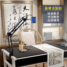 汇博士 远程教学直播摄像头 自动对焦4K高清绘画书法美甲 培训课堂同步教学 电子实物展台 悬臂支架款