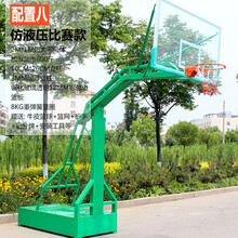 乐林源 可移动室内篮球架框户外篮球架健身学校比赛标准室外篮球架落地式 标配八