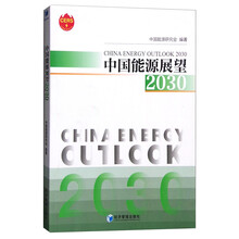 中国能源展望2030