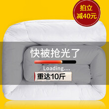 unalice纯羊毛被冬被加厚春秋被芯被子澳洲羊绒单人双人冬季保暖8斤 100%羊毛被 白色 200*230cm(8斤)