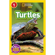 国家地理分级阅读初阶：海龟 NGR TURTLES进口原版 英文